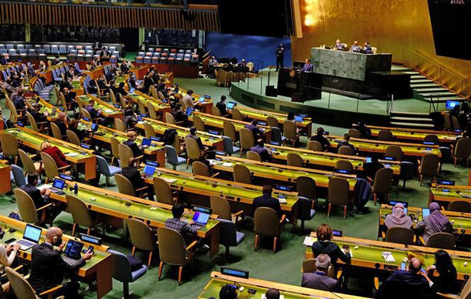 Le Vietnam s'efforce de contribuer aux activités de l'Assemblée générale des Nations Unies ảnh 1