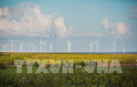 Bac Lieu travaille avec des investisseurs dans l’énergie éolienne ảnh 1 Bac Lieu travaille avec des investisseurs dans l’énergie éolienne ảnh 1