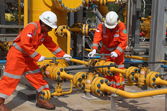 Le Japon et l'Indonésie signent un protocole d'accord sur le commerce de gaz ảnh 1 Le Japon et l'Indonésie signent un protocole d'accord sur le commerce de gaz ảnh 1