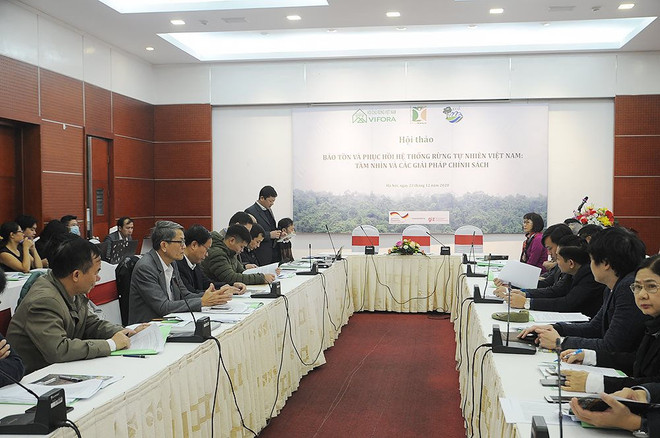 Assurer la conservation, le développement et l'amélioration de la qualité des forêts naturelles ảnh 1 Assurer la conservation, le développement et l'amélioration de la qualité des forêts naturelles ảnh 1