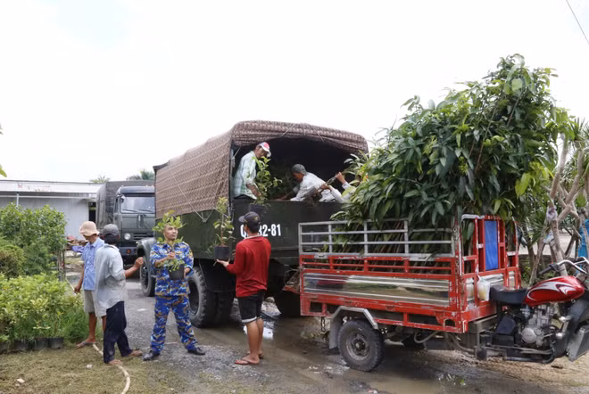 Ben Tre offre 15.000 plants pour verdir le district insulaire de Truong Sa ảnh 2
