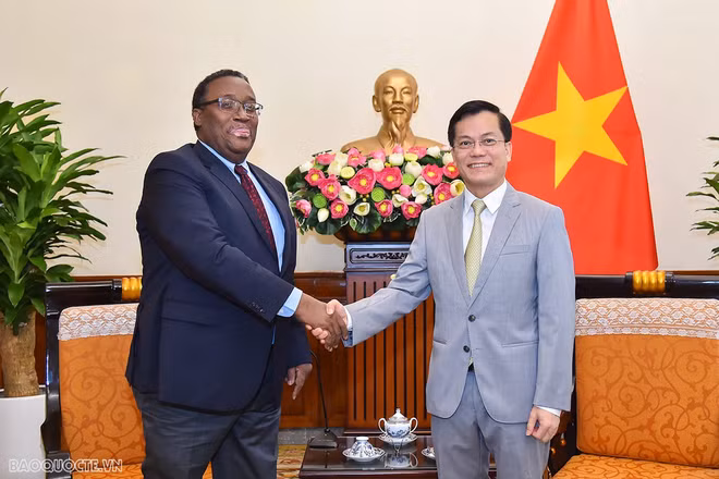 Haïti souhaite renforcer ses relations avec le Vietnam ảnh 1