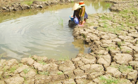 Vietnam et Canada échangent d’expériences sur la résilience aux changements climatiques ảnh 1 Vietnam et Canada échangent d’expériences sur la résilience aux changements climatiques ảnh 1