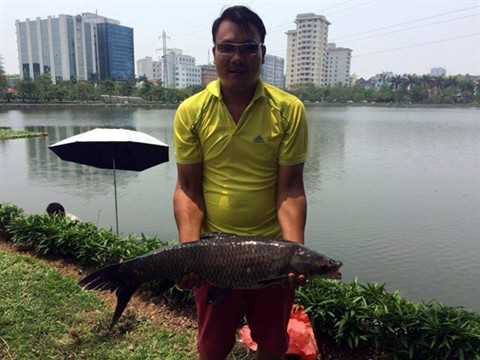 La pêche urbaine enflamme Hanoï ảnh 1