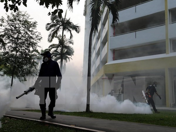Zika : Singapour dénombre 27 nouveaux cas d'infection ảnh 2 Zika : Singapour dénombre 27 nouveaux cas d'infection ảnh 2