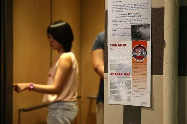 Zika : Singapour dénombre 27 nouveaux cas d'infection ảnh 1