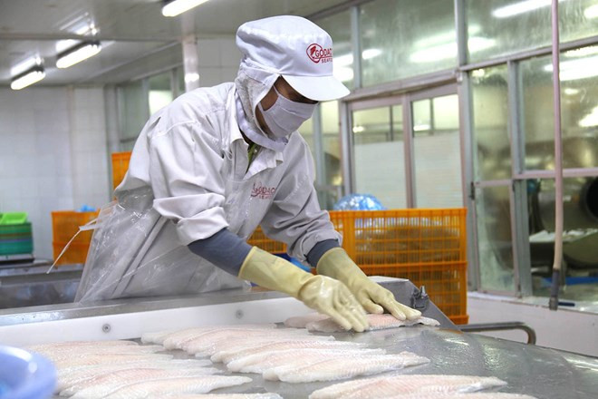 2,4 milliards de dollars des exportations de produits aquatiques en quatre mois ảnh 1 2,4 milliards de dollars des exportations de produits aquatiques en quatre mois ảnh 1