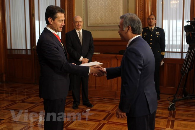 Le président mexicain s’engage à resserrer les liens avec le Vietnam ảnh 1 Le président mexicain s’engage à resserrer les liens avec le Vietnam ảnh 1