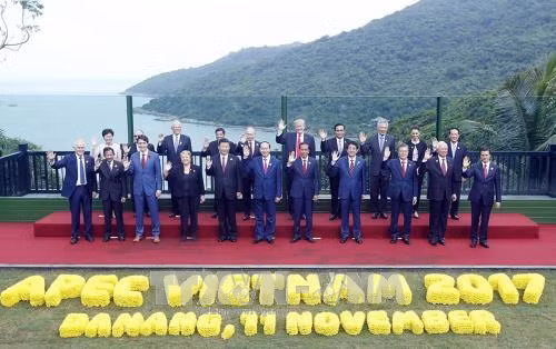 Les dix événements nationaux les plus marquants de 2017 ảnh 2