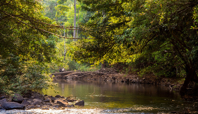 Protection des forêts : L’UE octroie au Cambodge 3,3 millions de dollars ảnh 1 Protection des forêts : L’UE octroie au Cambodge 3,3 millions de dollars ảnh 1