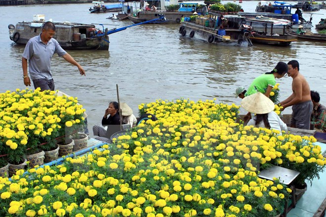 Têt 2018 : fêtes des fleurs à Hô Chi Minh-Ville ảnh 1 Têt 2018 : fêtes des fleurs à Hô Chi Minh-Ville ảnh 1