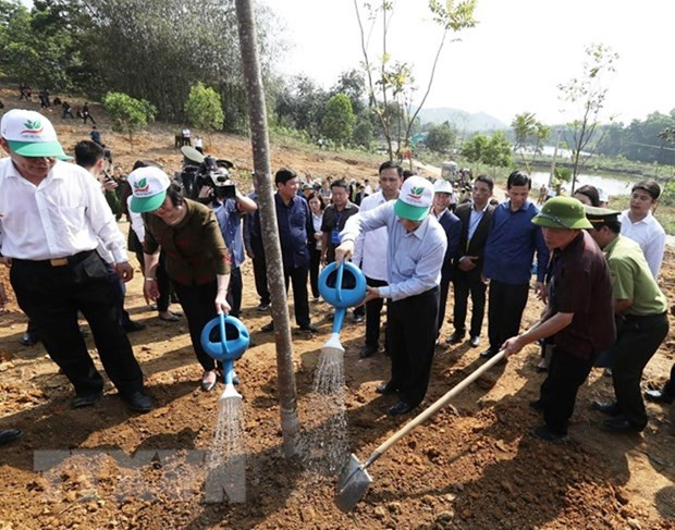Têt de la plantation d’arbres : belle coutume de célébration de l’arrivée du printemps ảnh 1 Têt de la plantation d’arbres : belle coutume de célébration de l’arrivée du printemps ảnh 1