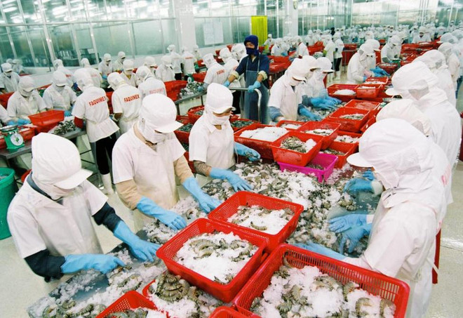 Belles perspectives pour les produits aquatiques vietnamiens ảnh 2 Belles perspectives pour les produits aquatiques vietnamiens ảnh 2