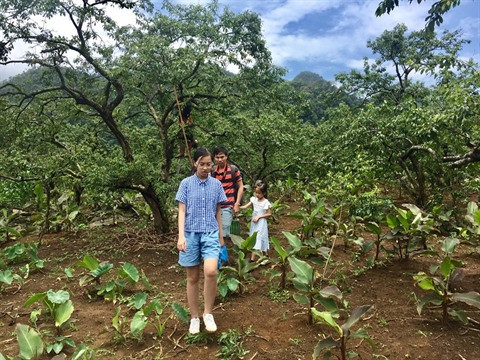 Que font les enfants en été? ảnh 2 Que font les enfants en été? ảnh 2