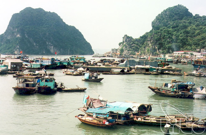 Quang Ninh préserve son espace culturel des villages de pêcheurs ảnh 1 Quang Ninh préserve son espace culturel des villages de pêcheurs ảnh 1