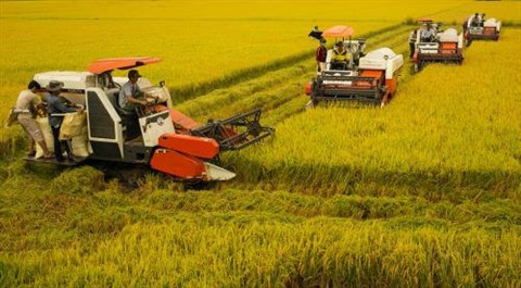 Promouvoir la croissance verte pour s’adapter au changement climatique ảnh 1 Promouvoir la croissance verte pour s’adapter au changement climatique ảnh 1
