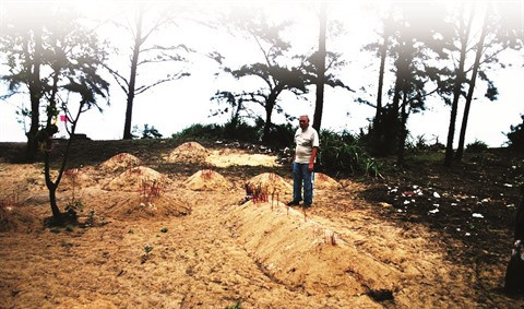 Un village qui voue un culte aux baleines à Quang Binh ảnh 2 Un village qui voue un culte aux baleines à Quang Binh ảnh 2