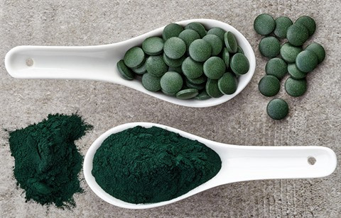 Des étudiants conçoivent un système de culture de spiruline à domicile ảnh 2 Des étudiants conçoivent un système de culture de spiruline à domicile ảnh 2