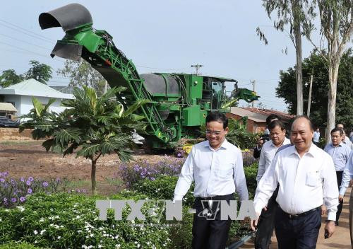 Le Premier ministre visite des établissements agricoles à Tay Ninh ảnh 1 Le Premier ministre visite des établissements agricoles à Tay Ninh ảnh 1
