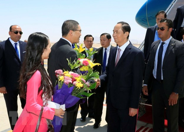 Le président Tran Dai Quang entame sa visite d’Etat en Egypte ảnh 1 Le président Tran Dai Quang entame sa visite d’Etat en Egypte ảnh 1