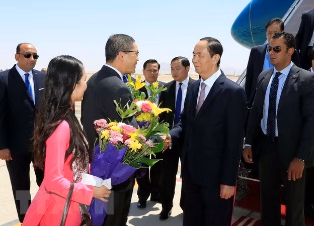 Le président Tran Dai Quang entame sa visite d’Etat en Egypte ảnh 1