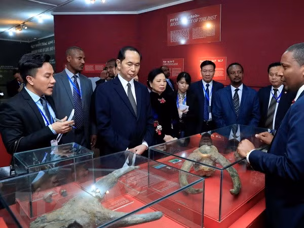 Le président Tran Dai Quang quitte l’Ethiopie pour l’Egypte ảnh 1 Le président Tran Dai Quang quitte l’Ethiopie pour l’Egypte ảnh 1