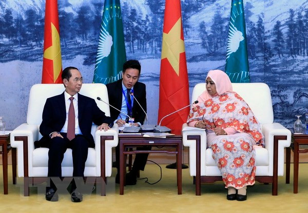 Le président Tran Dai Quang rencontre la présidente p.i de la Commission de l’Union africaine ảnh 1 Le président Tran Dai Quang rencontre la présidente p.i de la Commission de l’Union africaine ảnh 1
