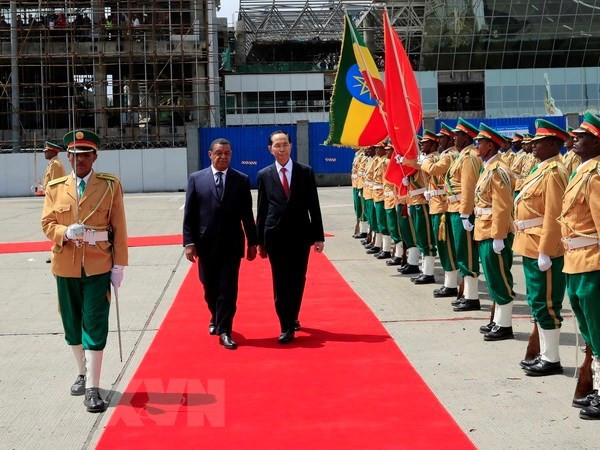Le président termine ses visites d’Etat en Ethiopie et en Egypte ảnh 1 Le président termine ses visites d’Etat en Ethiopie et en Egypte ảnh 1