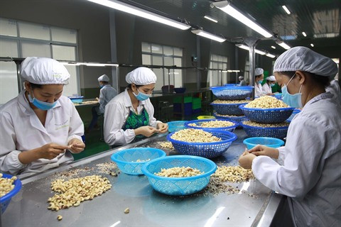 Défis pour l’exportation de produits agricoles vers l’Union européenne ảnh 1 Défis pour l’exportation de produits agricoles vers l’Union européenne ảnh 1