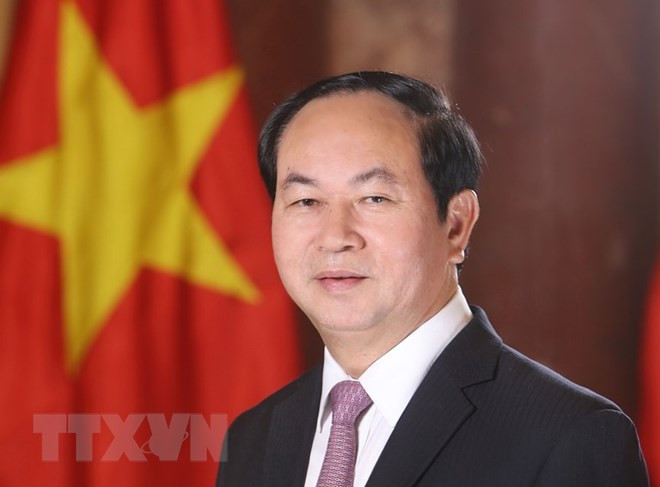 Le président Tran Dai Quang part pour des visites d’Etat en Ethiopie et en Egypte ảnh 1