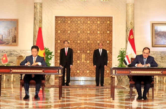 Le Vietnam et l'Egypte publient une déclaration commune ảnh 1 Le Vietnam et l'Egypte publient une déclaration commune ảnh 1