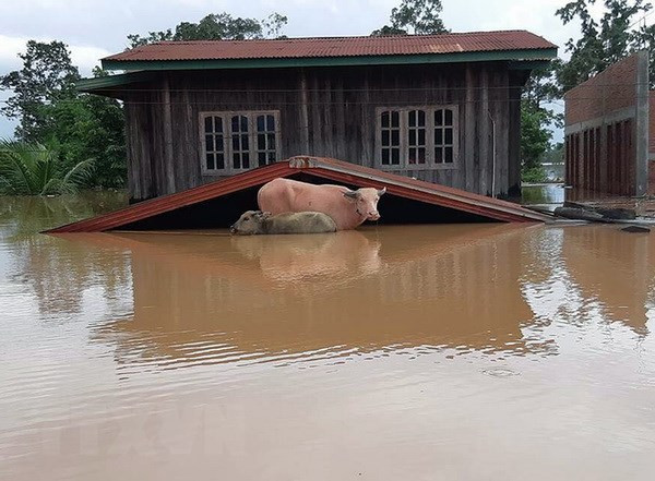 Les inondations généralisées font des ravages au Laos ảnh 1 Les inondations généralisées font des ravages au Laos ảnh 1