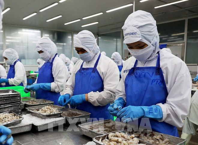 Le Vietnam devient le 5e exportateur de produits aquatiques à Singapour ảnh 1