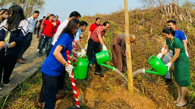 Les fleurs de bauhinie envahiront dans le complexe des vestiges de la bataille de Dien Bien Phu ảnh 1