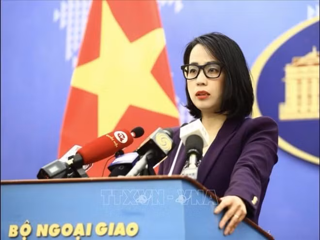 L'interdiction de pêche imposée par la Chine en Mer Orientale viole la souveraineté du Vietnam ảnh 1