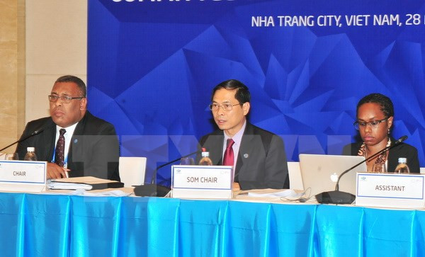 APEC 2017 : promotion de la coopération économique et technique ảnh 1