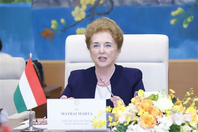 Vietnam-Hongrie : Renforcement de la coopération entre les organes législatifs ảnh 3 Vietnam-Hongrie : Renforcement de la coopération entre les organes législatifs ảnh 3