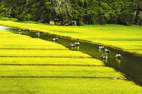 Nouvelle reconnaissance pour Ninh Binh ảnh 1 Nouvelle reconnaissance pour Ninh Binh ảnh 1