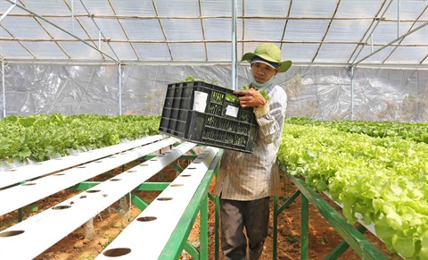 Supermarché : porte grande ouverte sur les produits agricoles des localités ảnh 2 Supermarché : porte grande ouverte sur les produits agricoles des localités ảnh 2
