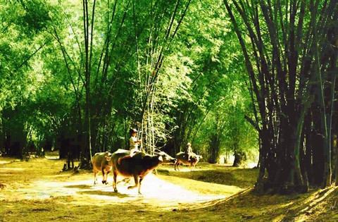 Cinq villages anciens célèbres du Vietnam ảnh 5 Cinq villages anciens célèbres du Vietnam ảnh 5