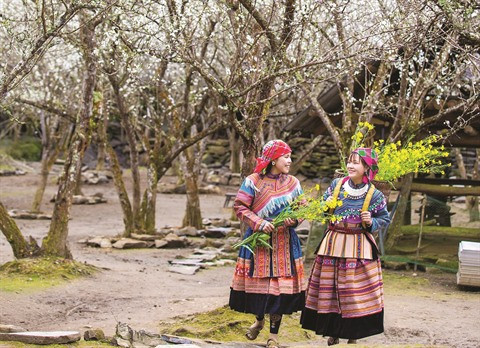 Dans le Nord, les festivals de fleurs servent de tremplin pour le tourisme ảnh 2