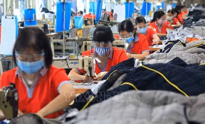 Réunion sur la situation du travail et de l’emploi ảnh 1