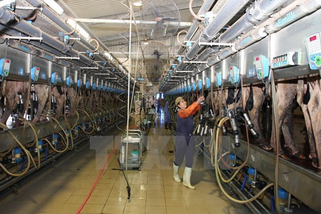 Valoriser des potentiels de coopération Vietnam-Bashkortostan ảnh 1 Valoriser des potentiels de coopération Vietnam-Bashkortostan ảnh 1