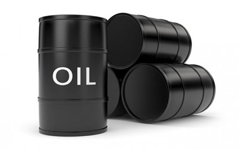 1er trimestre: forte hausse des exportations de brut au Japon ảnh 1 1er trimestre: forte hausse des exportations de brut au Japon ảnh 1