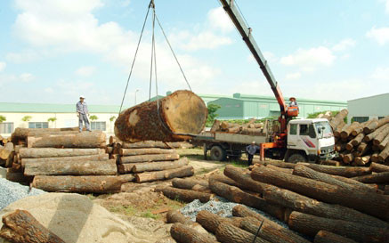 Exportations de bois: 7,5 milliards de dollars visés cette année ảnh 1 Exportations de bois: 7,5 milliards de dollars visés cette année ảnh 1