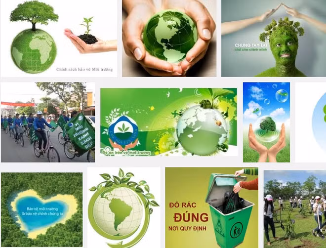 Elaborer un plan d’action pour la protection de l’environnement ảnh 1 Elaborer un plan d’action pour la protection de l’environnement ảnh 1