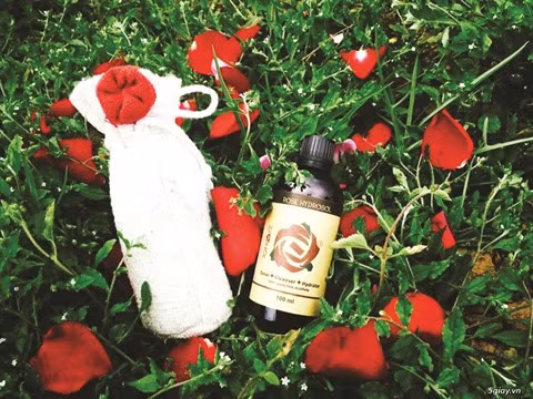 La vie en rose ảnh 2