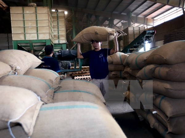 Baisse des exportations de produits agro-sylvi-aquacoles en janvier ảnh 1