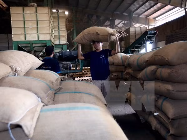 Baisse des exportations de produits agro-sylvi-aquacoles en janvier ảnh 1