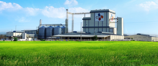 Plus de 31 millions de dollars pour la construction d'une provenderie à Ha Nam ảnh 1 Plus de 31 millions de dollars pour la construction d'une provenderie à Ha Nam ảnh 1